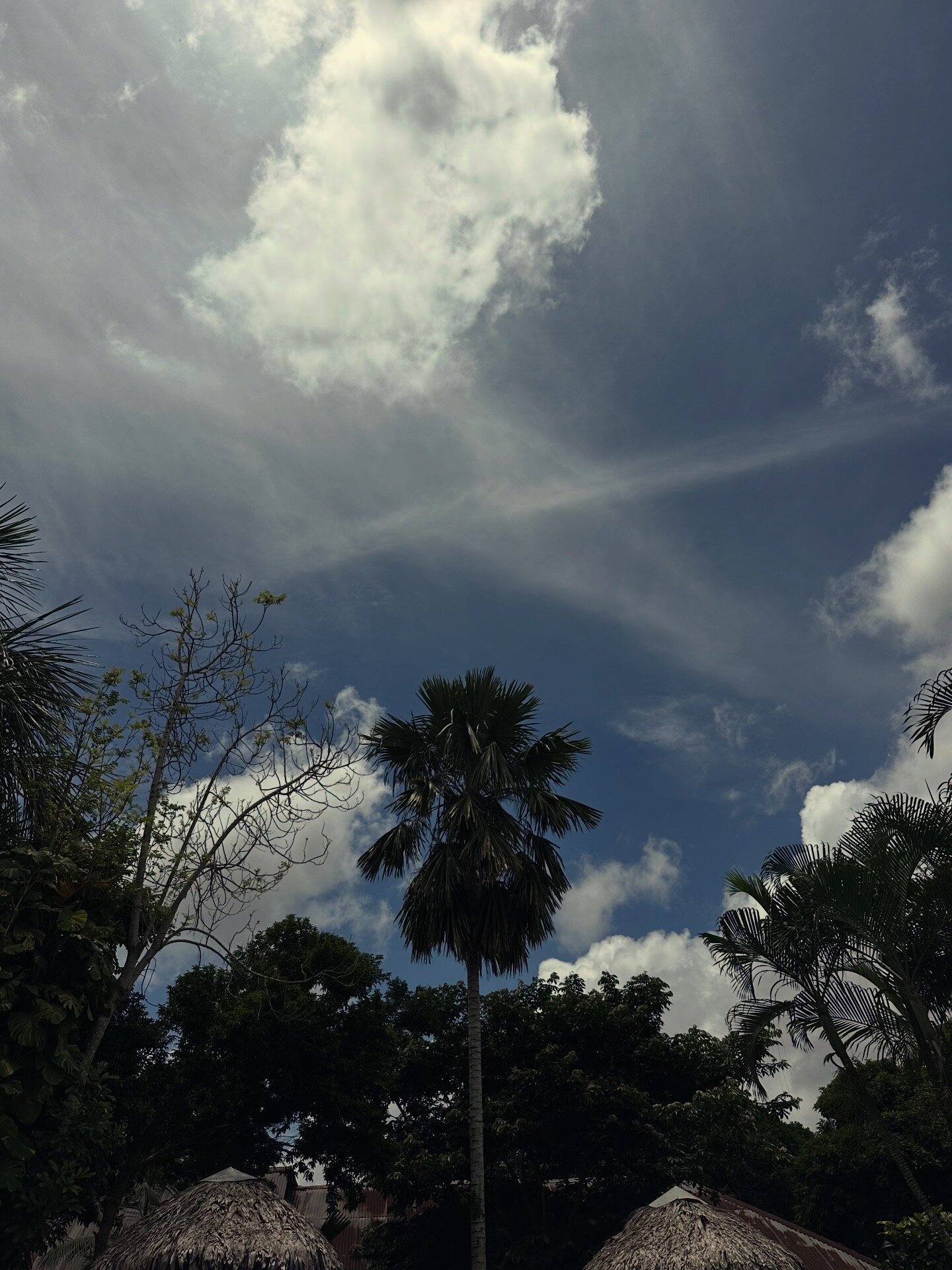 马尼什生态酒店-官方