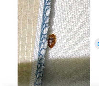 水晶海岸海滨酒店主图