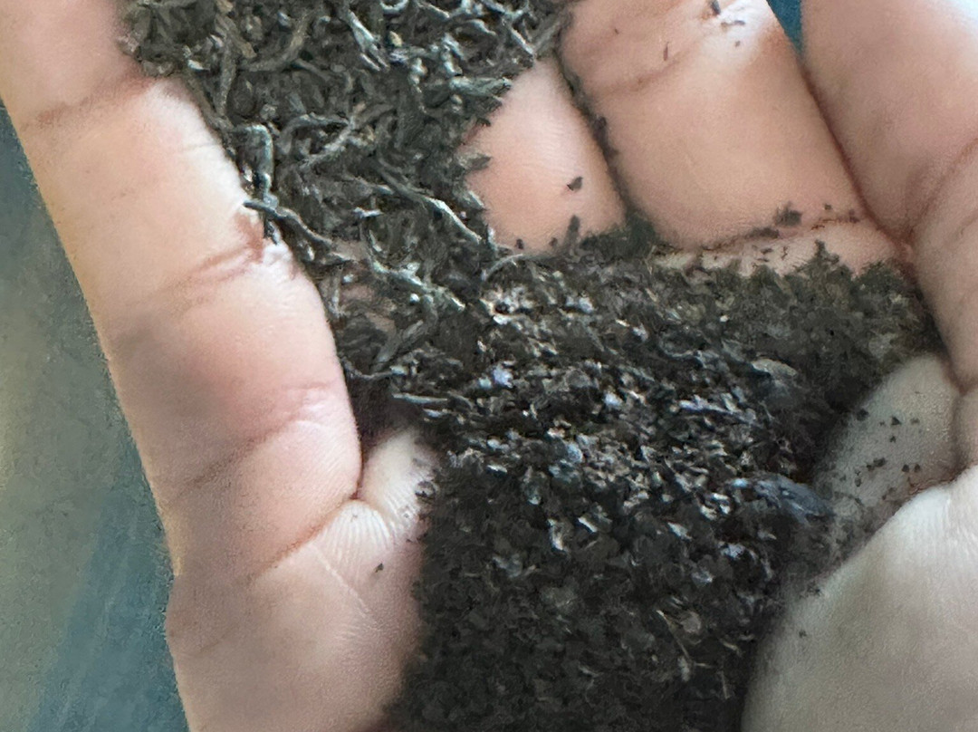 Pilimathalawa Tea Factory-Pilimathalawa必去景点