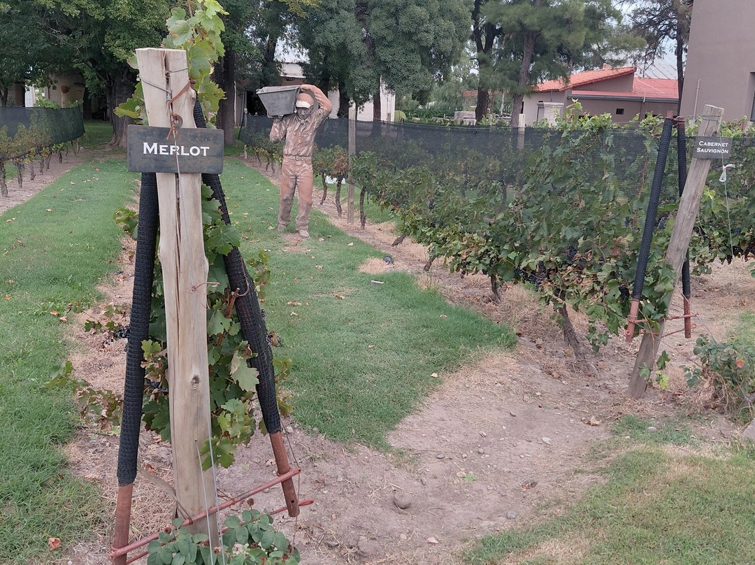 Bodega Labiano-圣拉斐尔必去景点