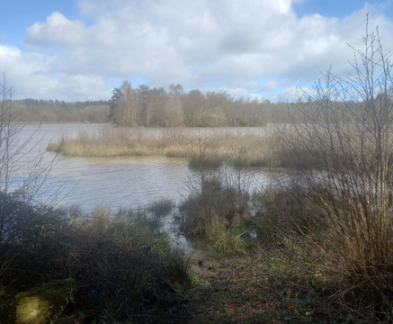 Woorgreens-Coleford必去景点