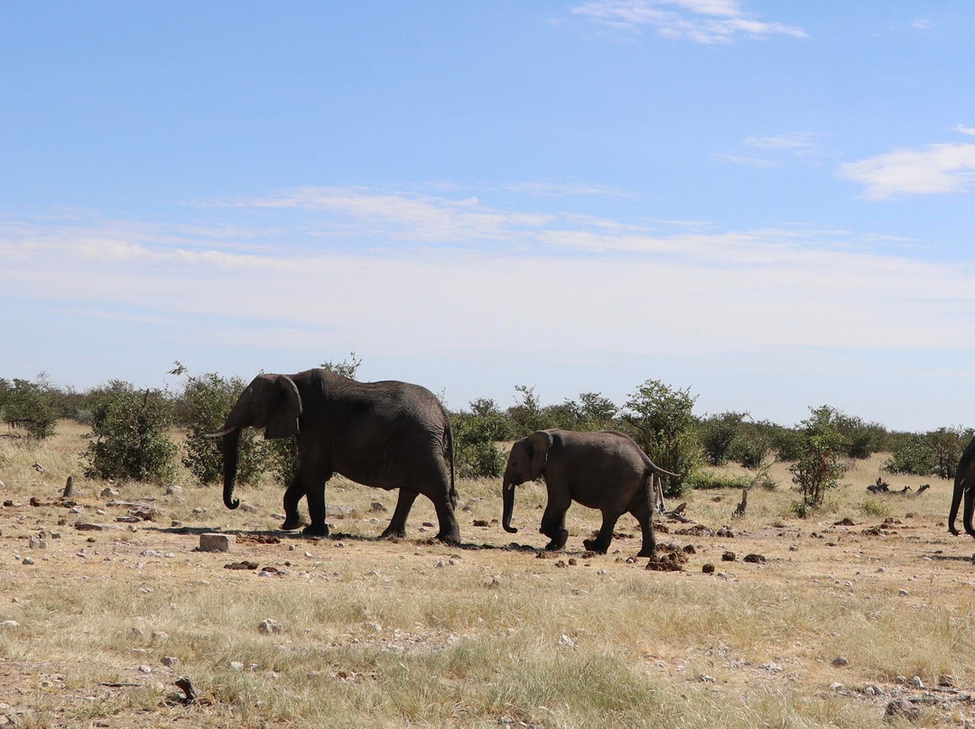 Safarihoek Lodge主图