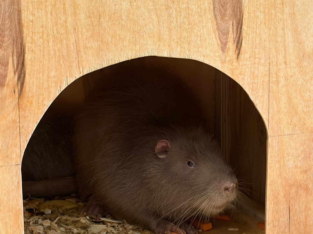 Strana Enotiya-克拉斯诺亚尔斯克必去景点