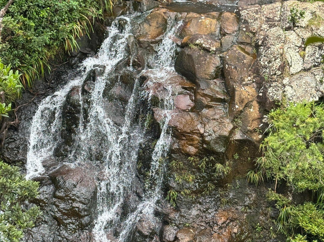 Vishal Taxi Ile Maurice-开普马欧呵必去景点