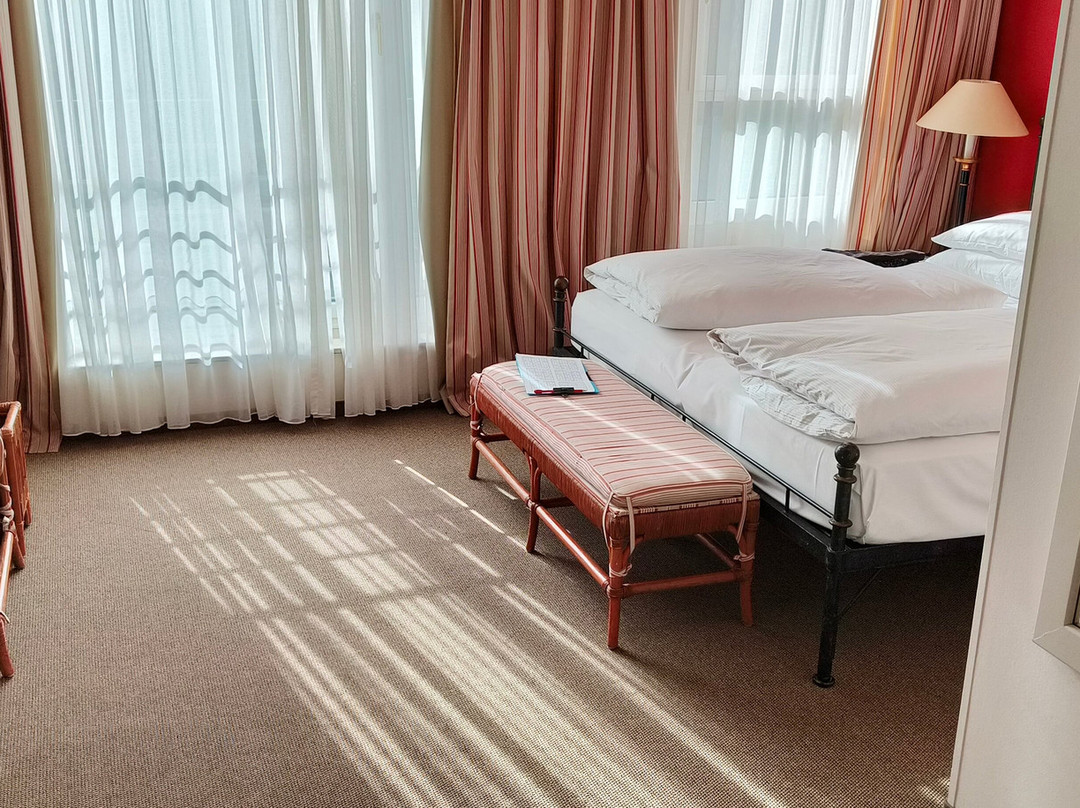 德雷斯顿艾尔贝弗伦萨酒店主图