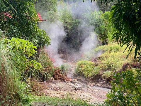 Trafalgar Falls-Morne Trois Pitons National Park必去景点