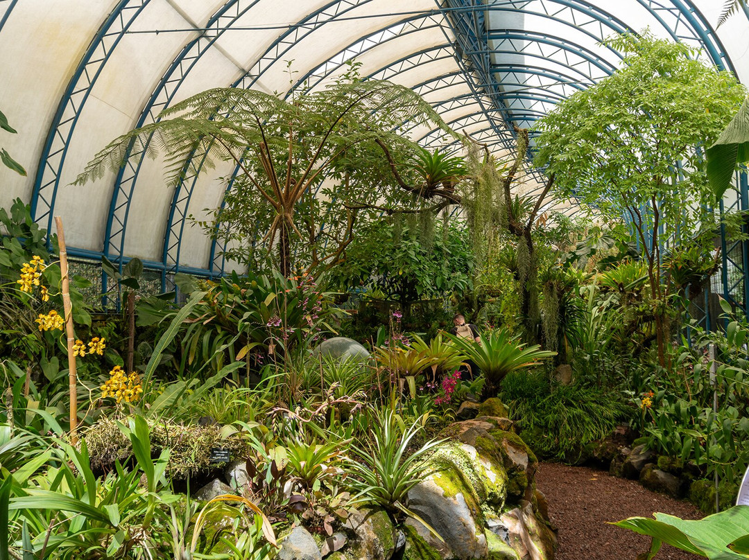 Jardín Botánico de Quito-基多必去景点