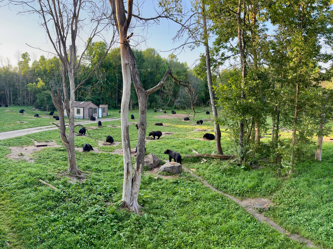 Vince Shute Wildlife Sanctuary-Orr必去景点