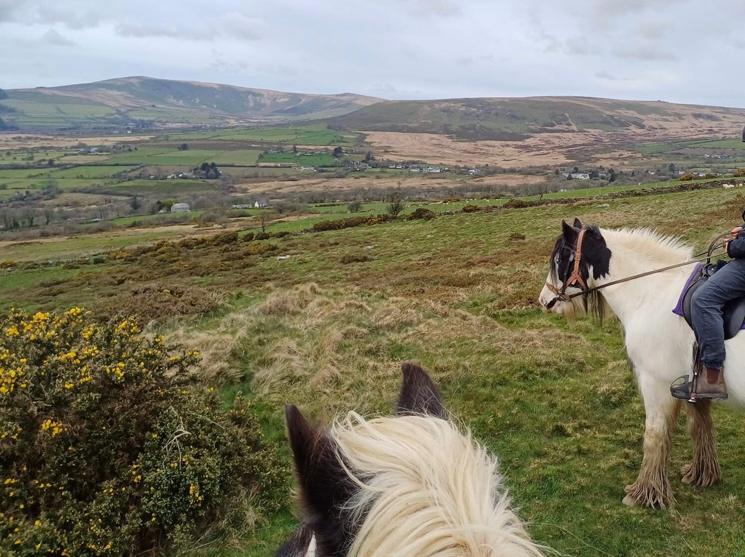 Preseli Pony Trekking-Mynachlogddu必去景点
