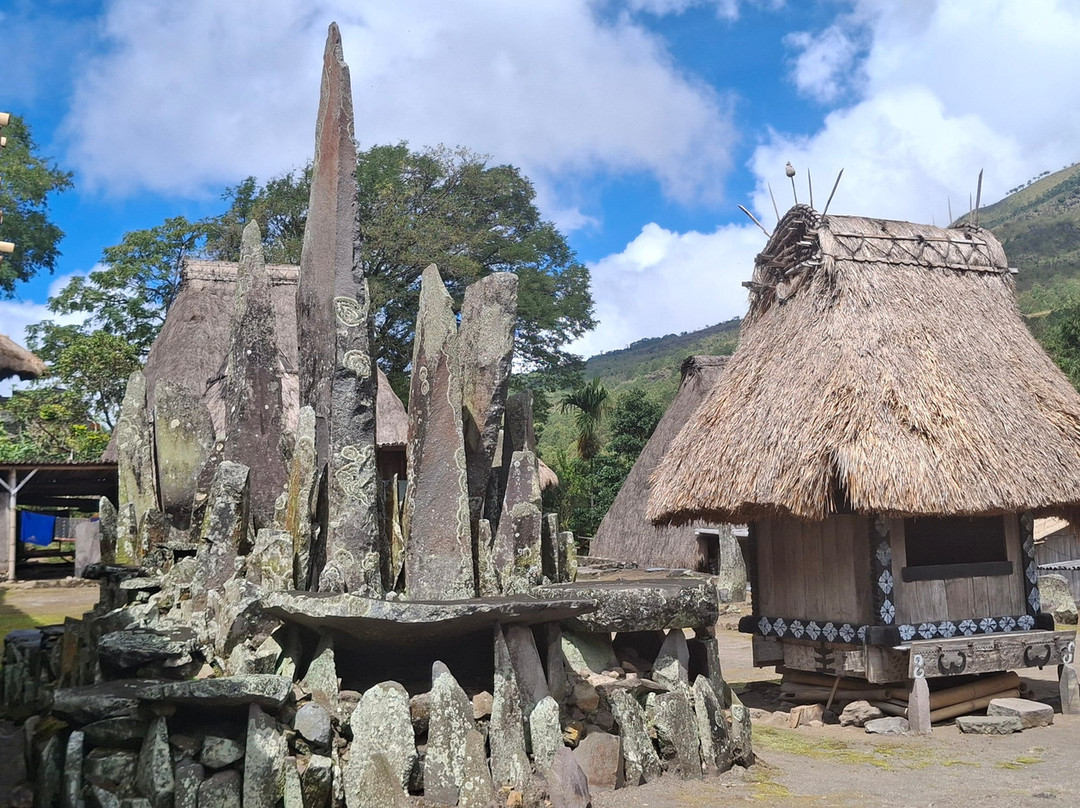 Gloria Tours & Travel-孟加锡必去景点