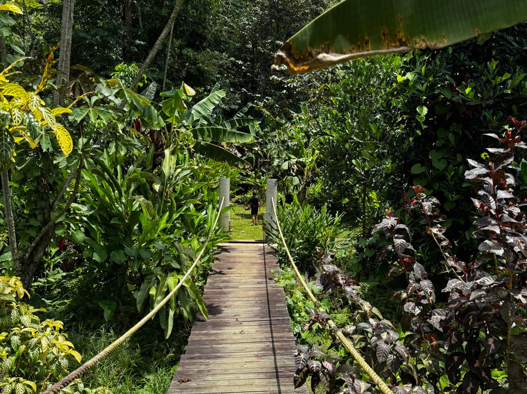 La Tierra Del Encanto-Isla Bastimentos必去景点