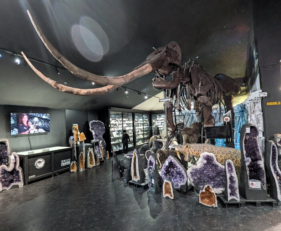 The National Dinosaur Museum-尼克斯必去景点