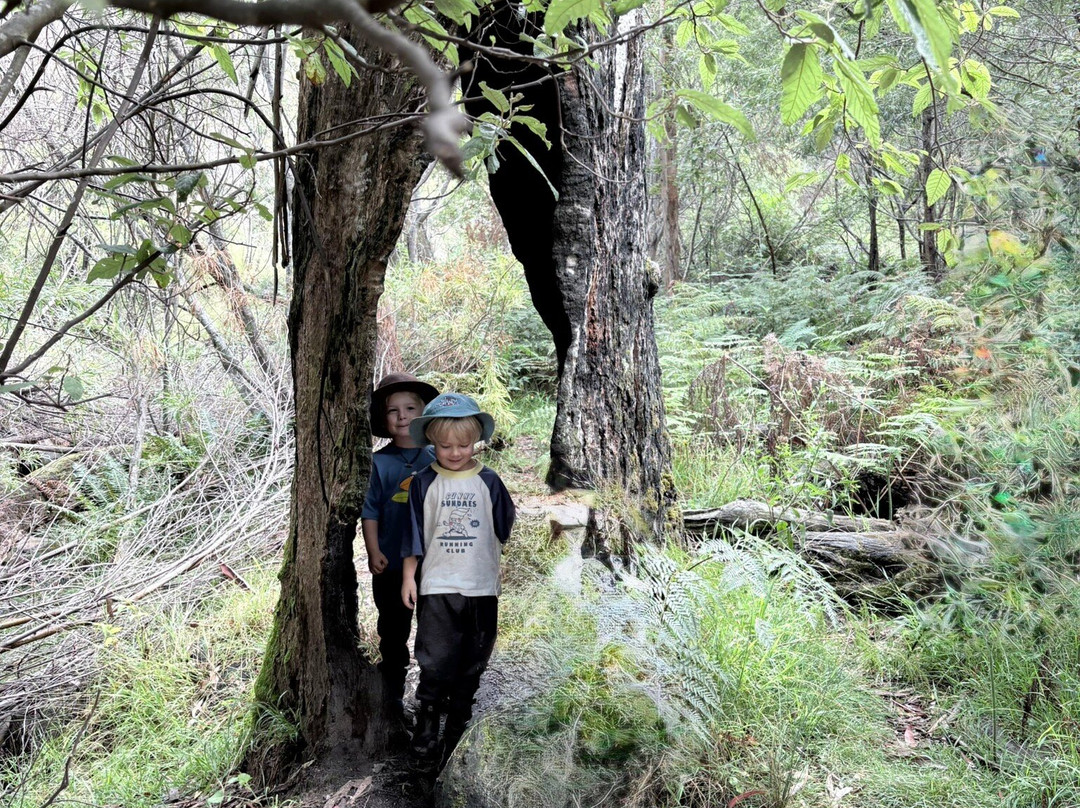 Silverband Falls-贺思盖必去景点