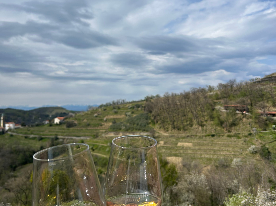 KristAlvin Winery-Dobrovo必去景点