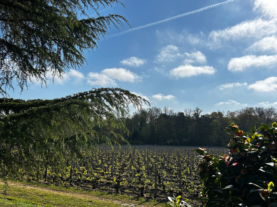 Chateau Haut Bailly-Leognan必去景点