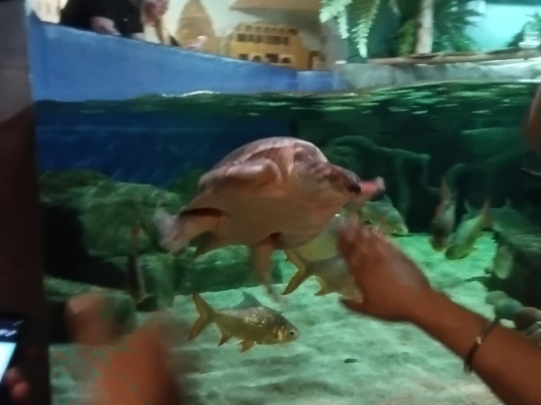 Oceanarium-伯恩茅斯必去景点