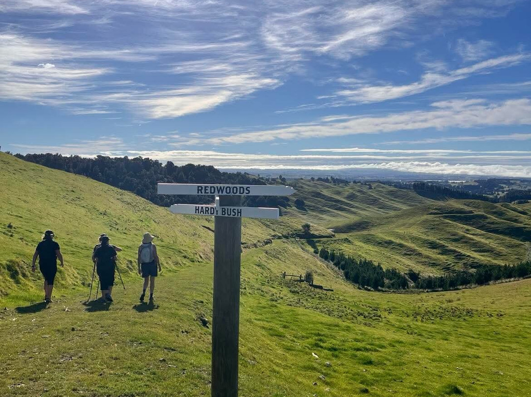 Blackburn Ridge-Waipawa必去景点