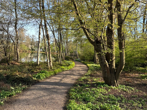 Jac P Thijssepark-阿姆斯特尔芬必去景点