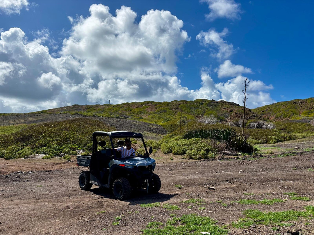 Buggy Désir