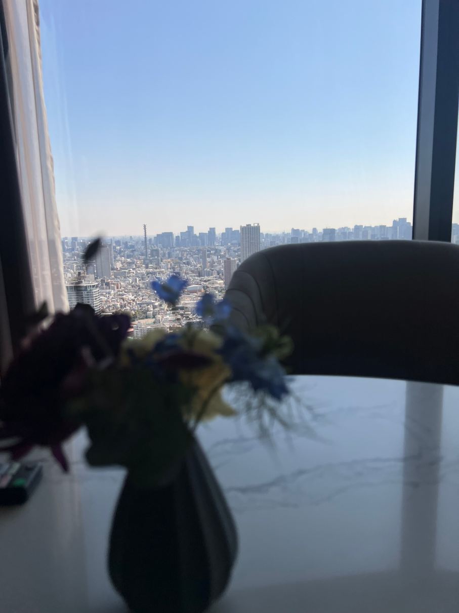 东京泛太平洋骊星酒店-客卧