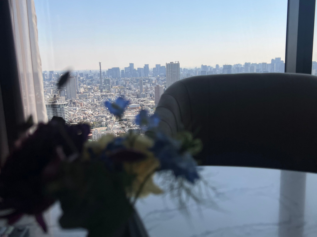 东京泛太平洋骊星酒店主图