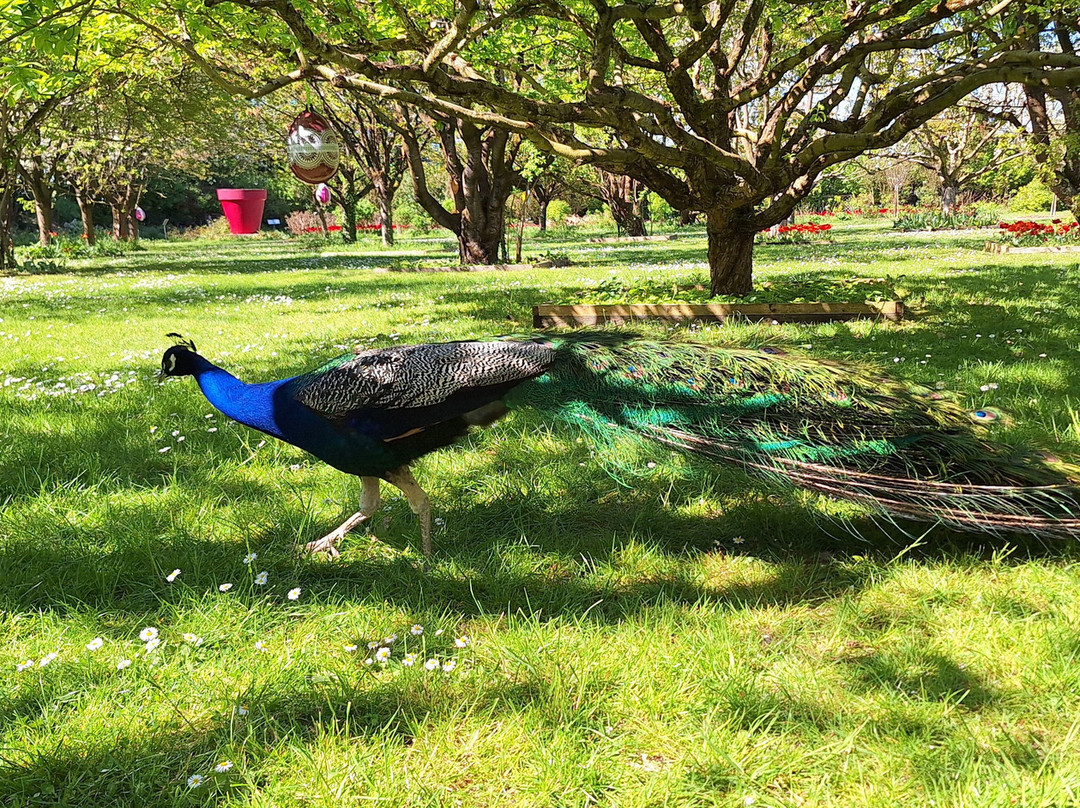 Château du Rivau-Lemere必去景点