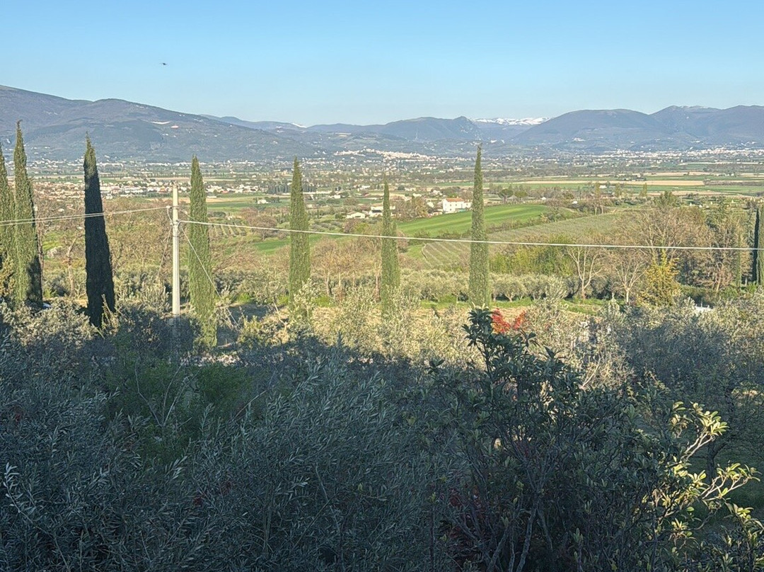 农纳拉纳乡村别墅主图