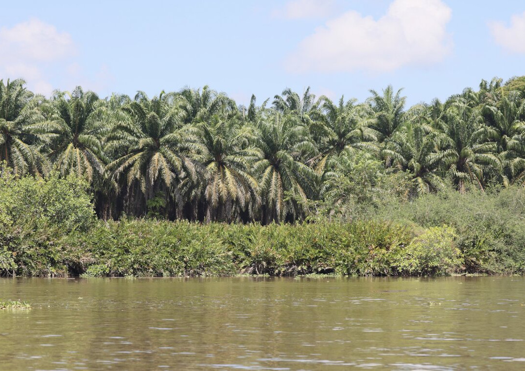 La Perla del Sur Adventures-Sierpe必去景点