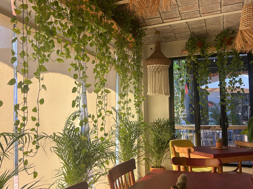 Nativva Sayulita