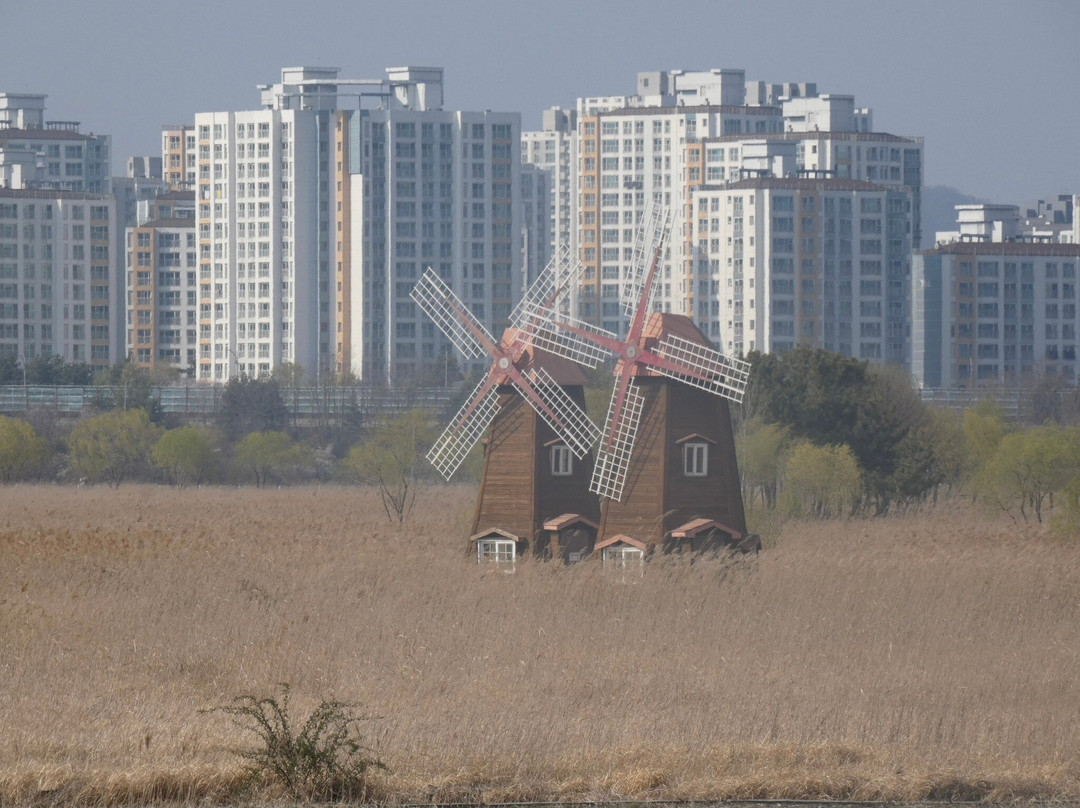 Sorae Ecology Park-仁川必去景点