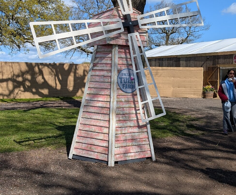 Tulleys Tulip Garden - Warwickshire-沃里克必去景点