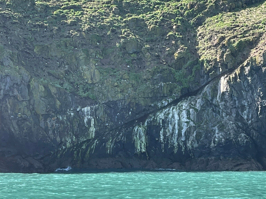 Pembrokeshire Islands Boat Trips-Marloes必去景点