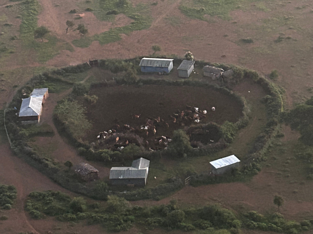 Kilimanjaro Balloon Safaris-安博塞利国家公园必去景点