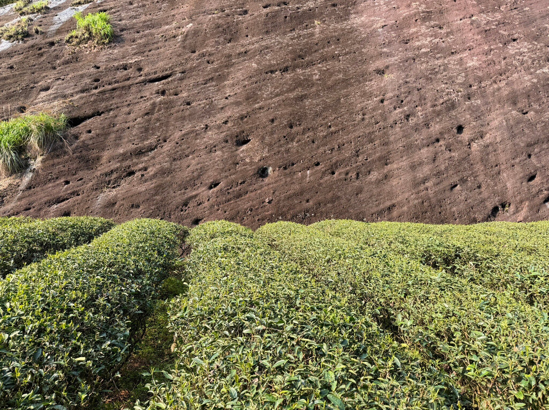 Ultimate Guide to Wuyishan-武夷山市必去景点