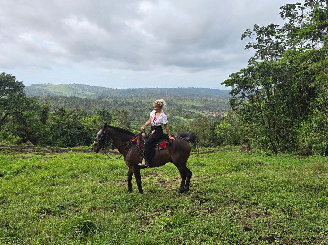 Cabalgata Don Tobias-福德圣卡洛斯必去景点