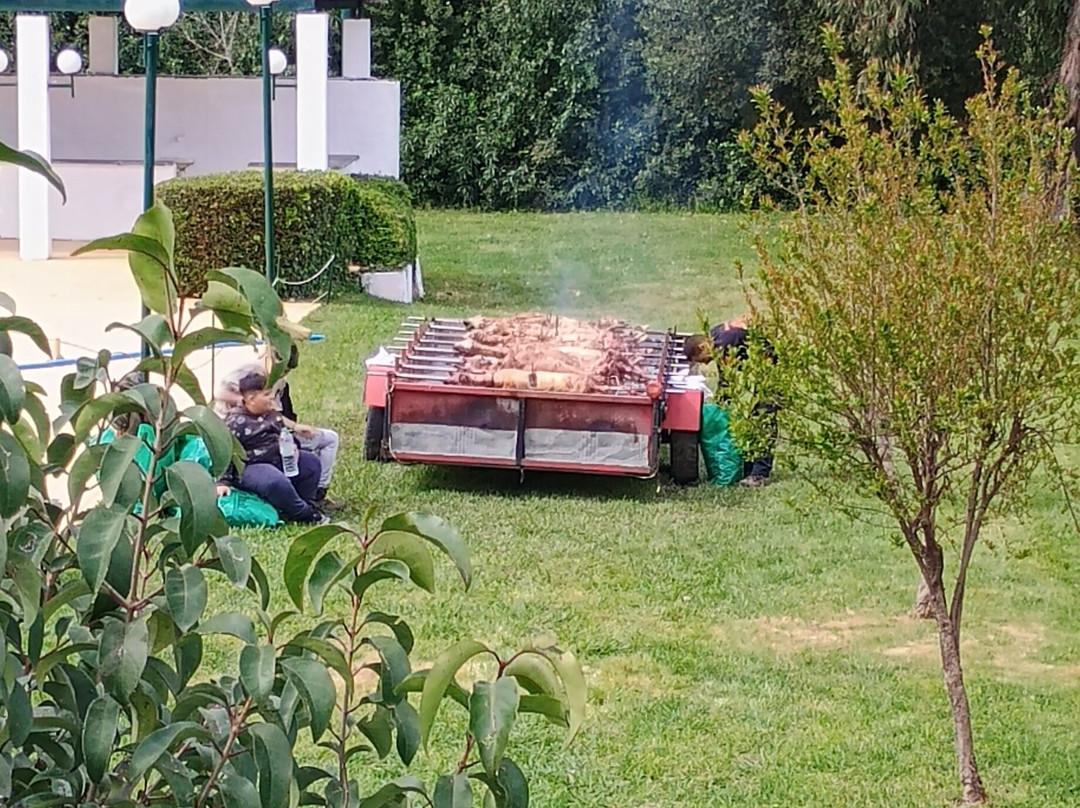 奥林匹亚阿玛利亚酒店主图