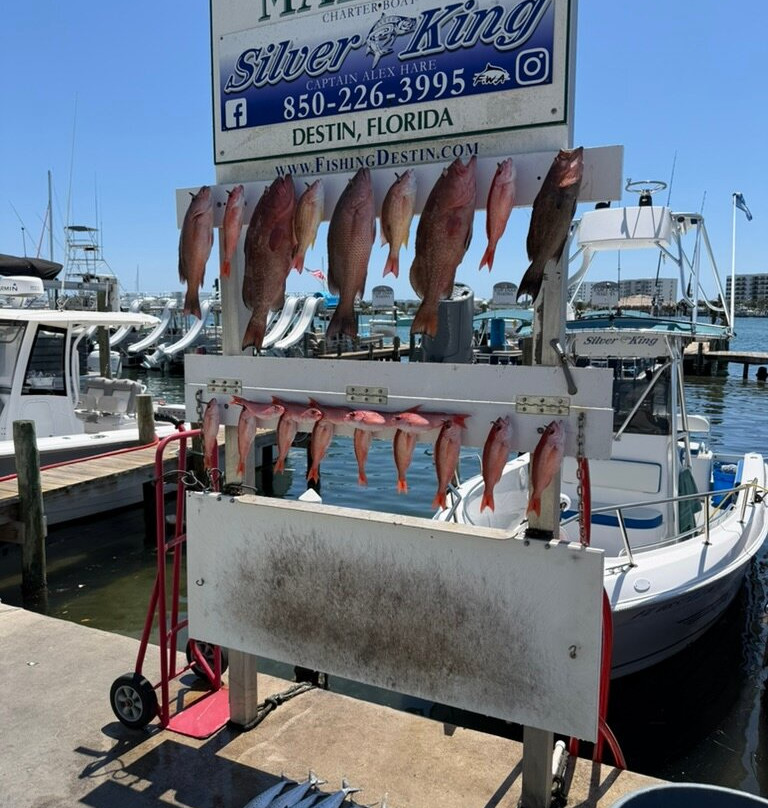Silver King Charters of Destin-Sandestin必去景点