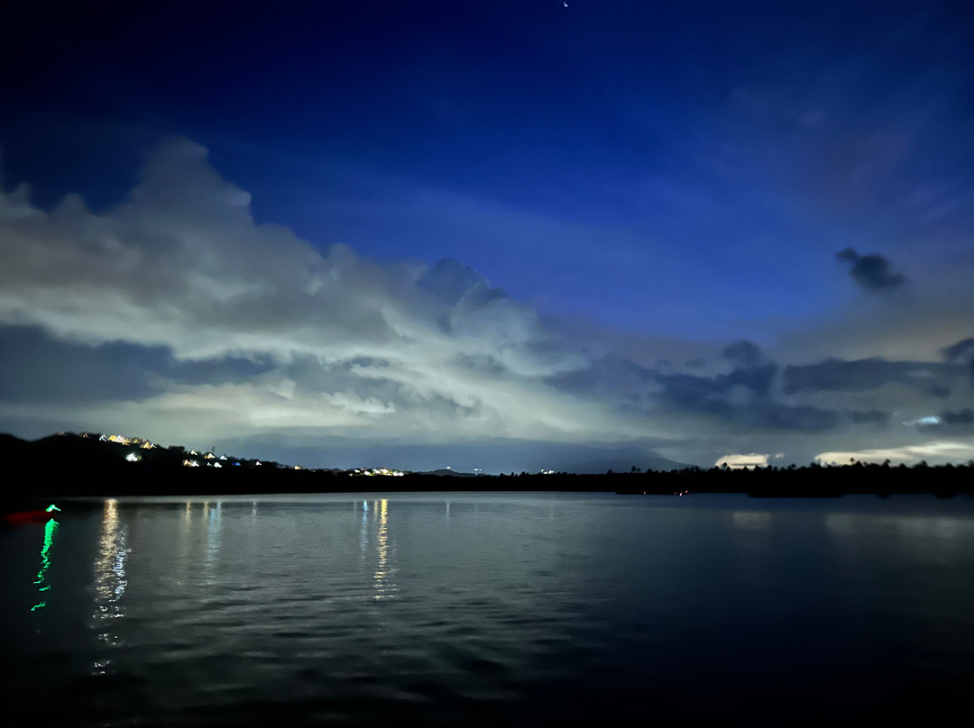 Puerto Rico Bio Bay Tours LLC-法哈多必去景点