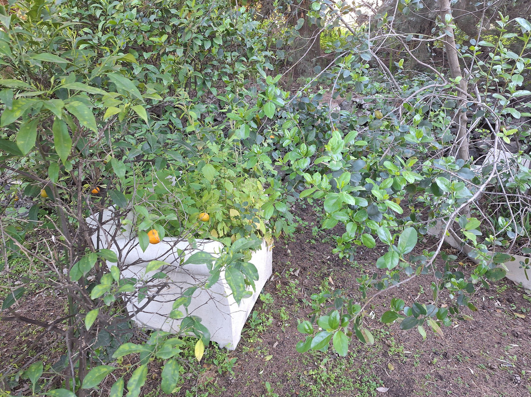 特里尼塔公寓酒店主图