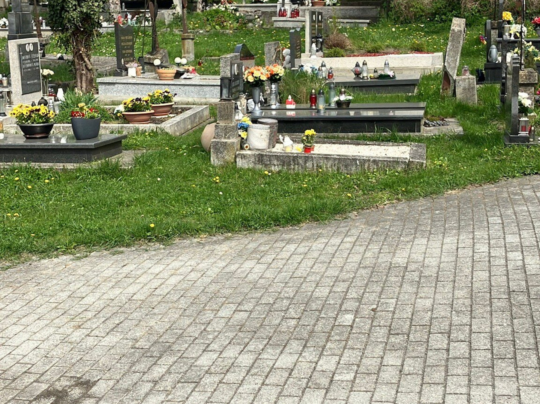 Friedhof von Devin