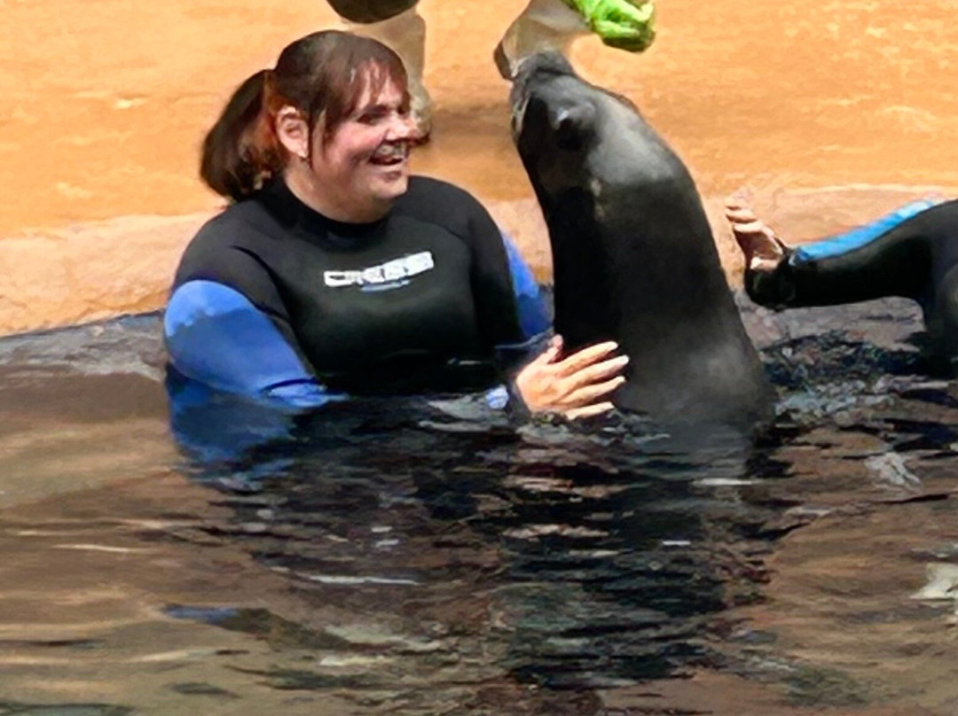 海洋世界水族馆-贝尼多姆必去景点