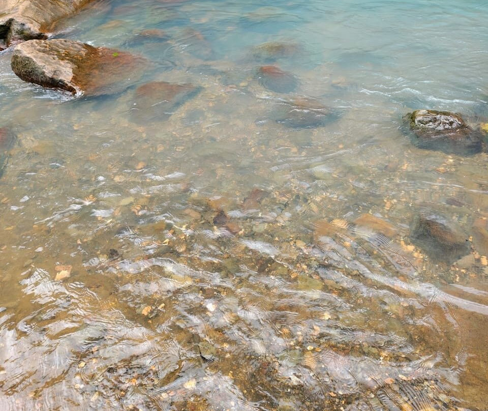 Matt's Fishing & Tours-萨迪纳尔必去景点