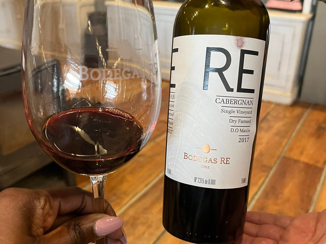Bodegas RE-卡萨布兰卡必去景点