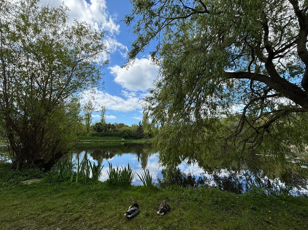 Bennetts Water Gardens-Chickerell必去景点