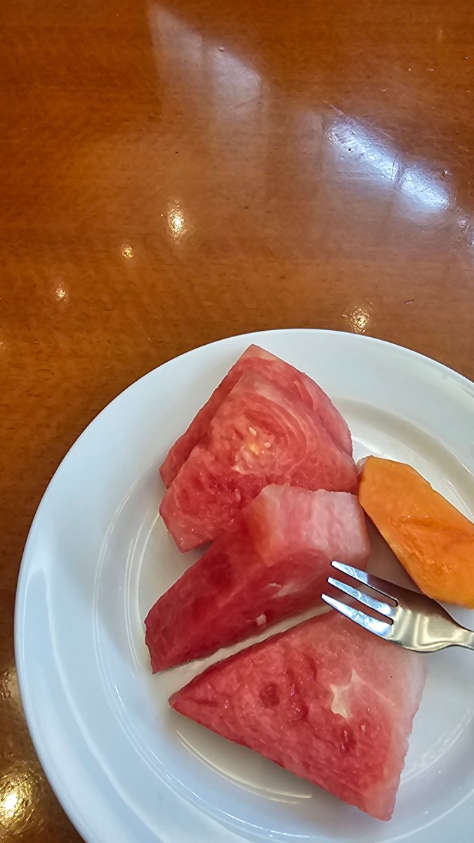 北干巴鲁 SKA 瑞士贝尔旅店-旅行者