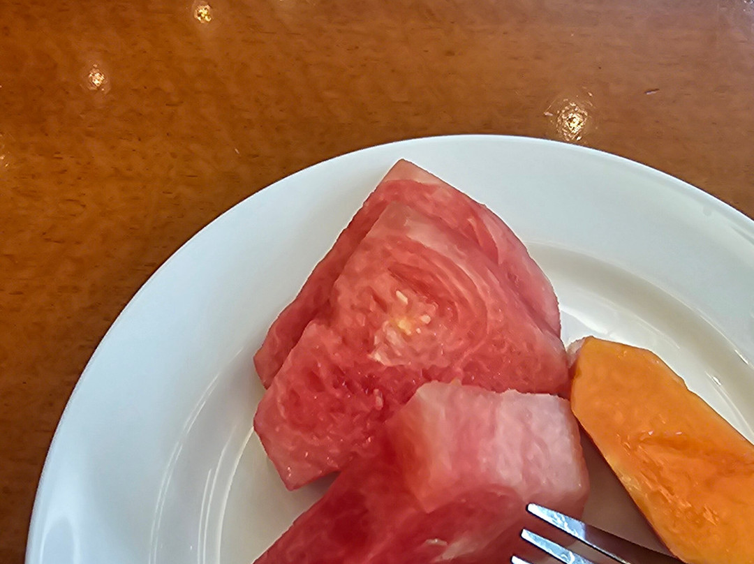 北干巴鲁 SKA 瑞士贝尔旅店主图