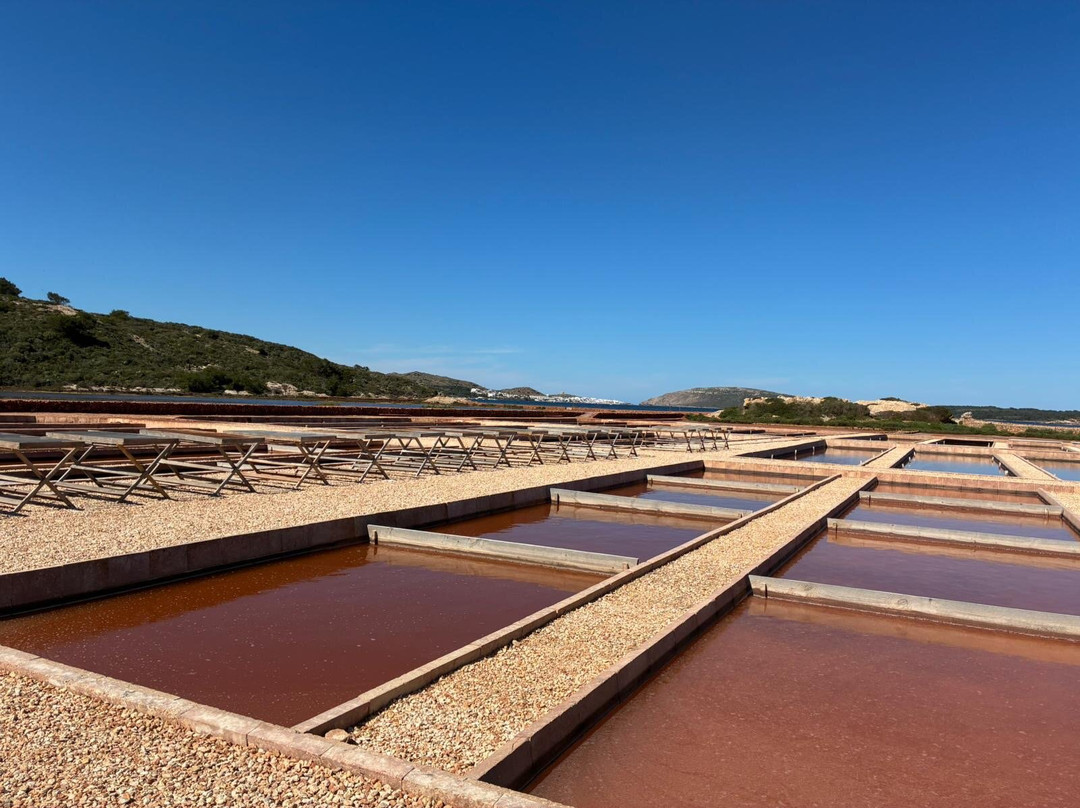 Sal de Menorca - Salinas de La Concepción-Mercadal必去景点