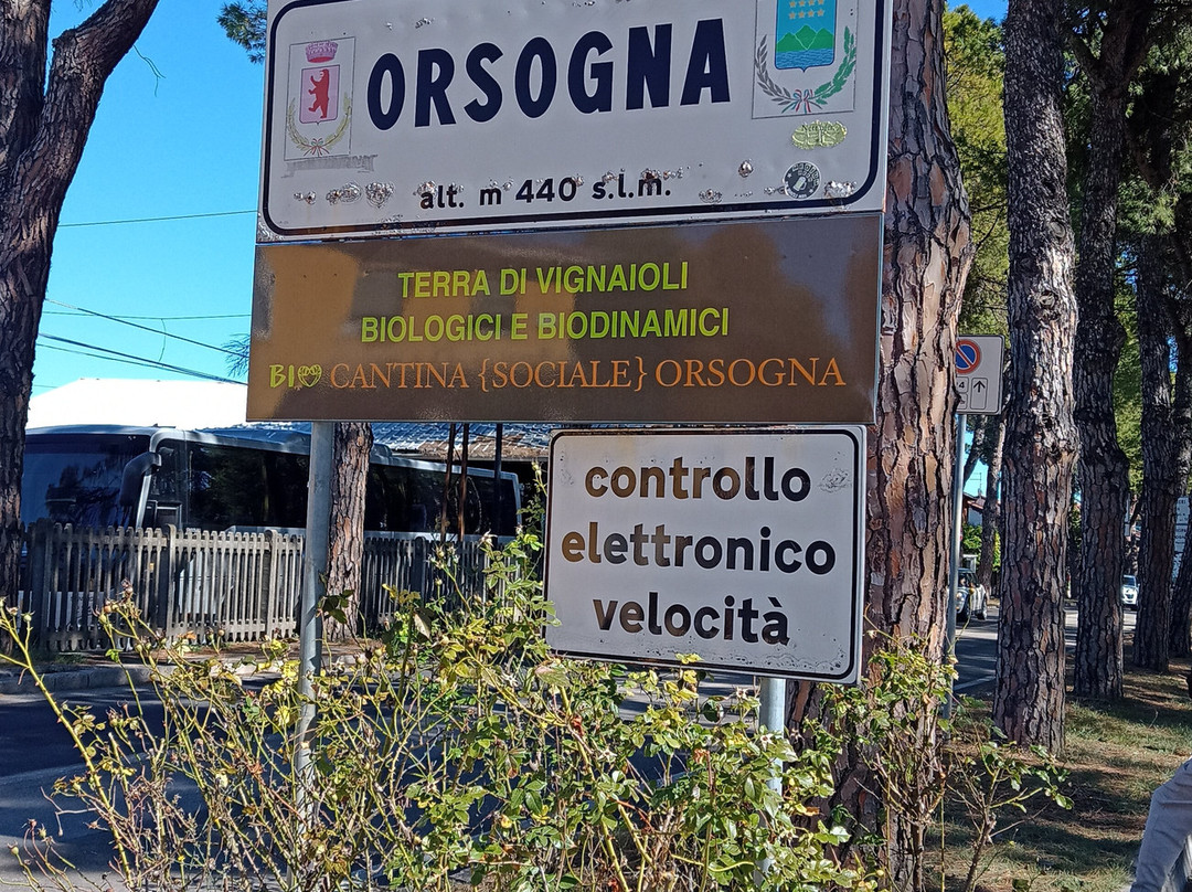 Festa religiosa dei Talami-Orsogna必去景点