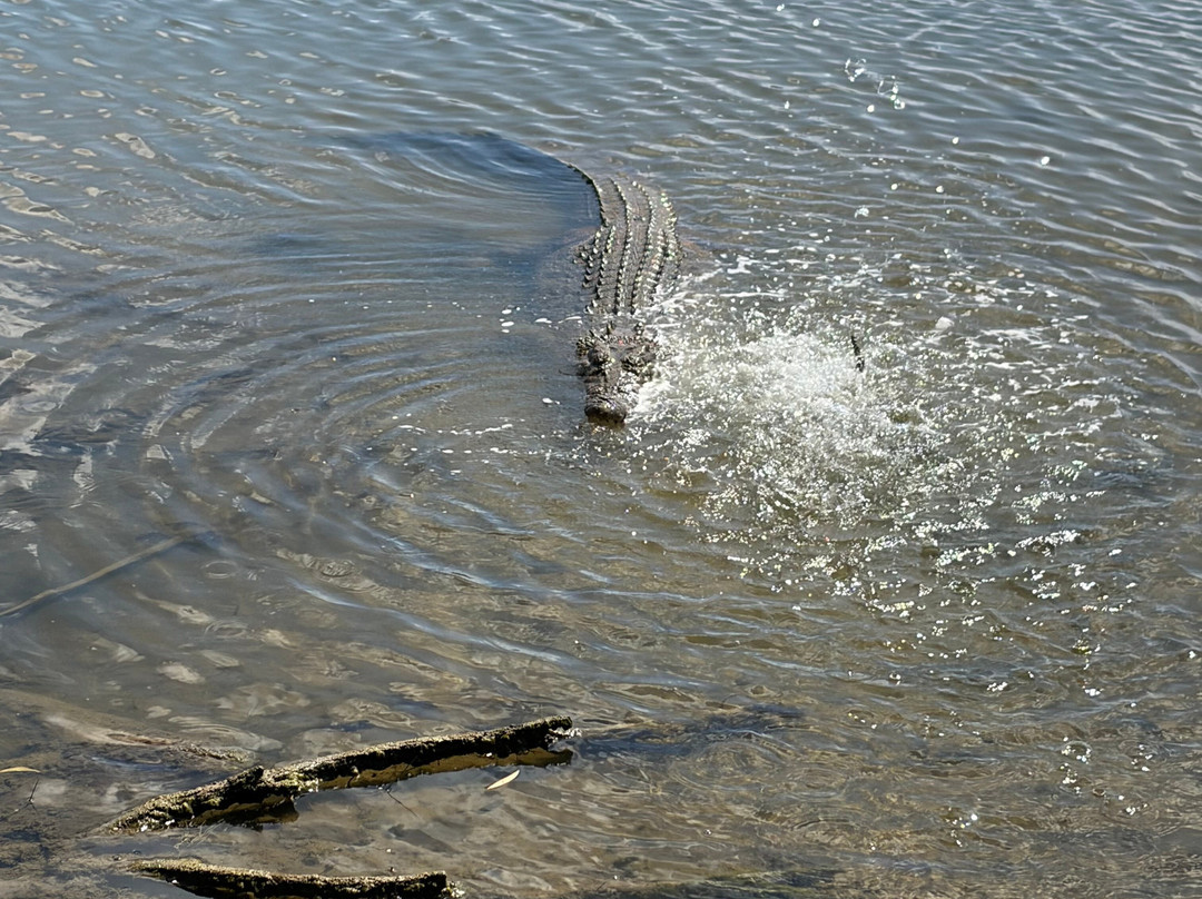 Koorana Crocodile Farm-Coowonga必去景点