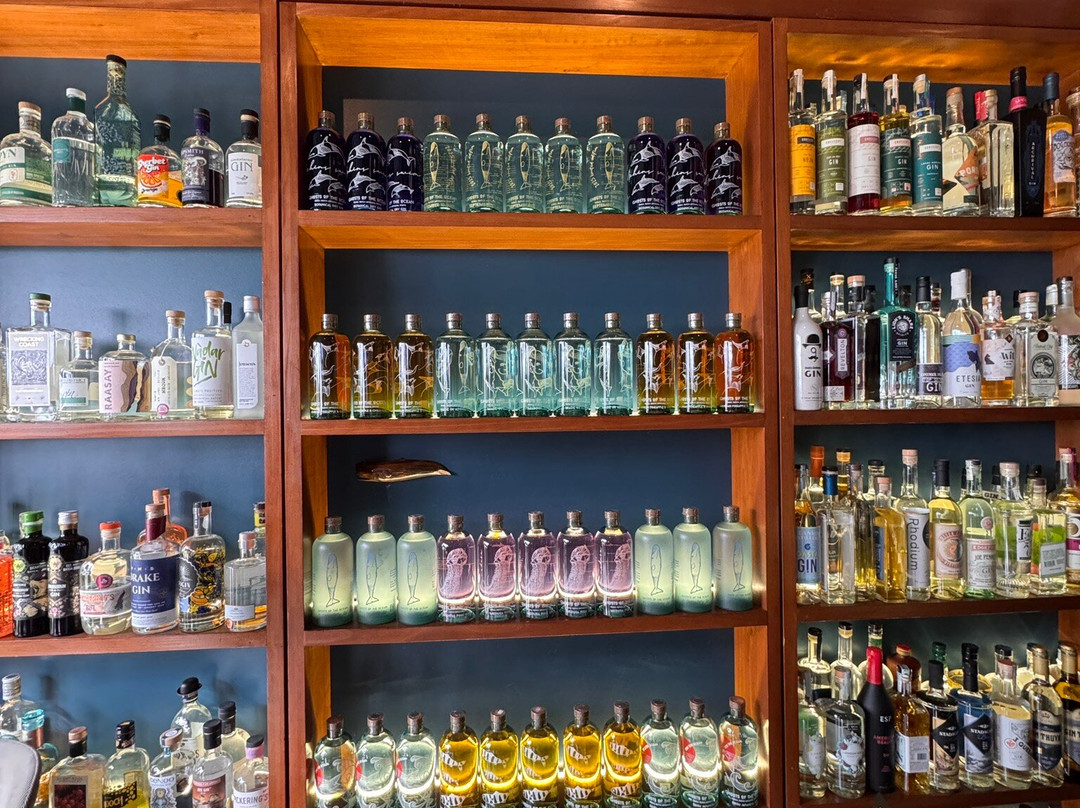 The Gin Library-蓬塔德尔加达必去景点
